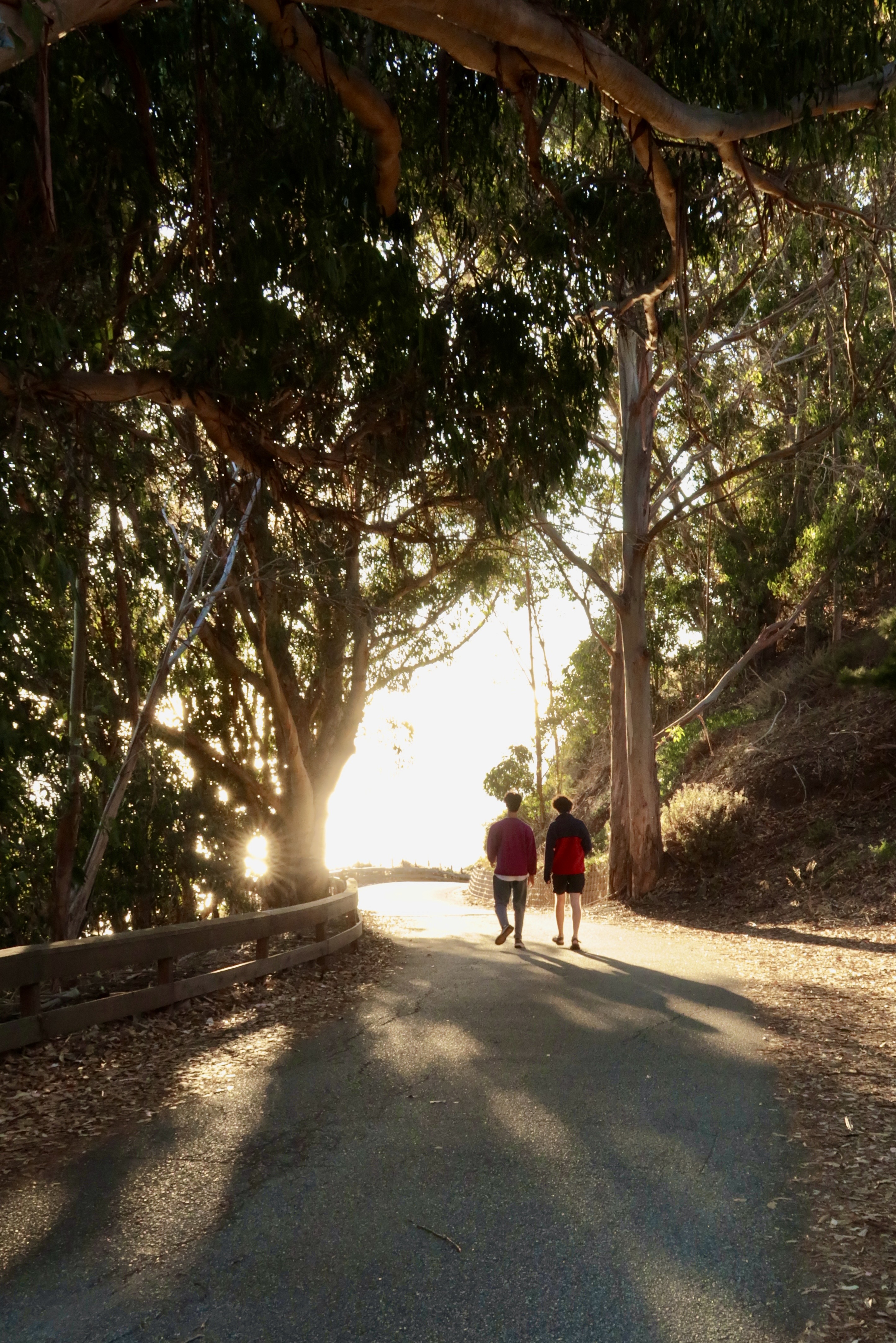 Friends at Big Sur