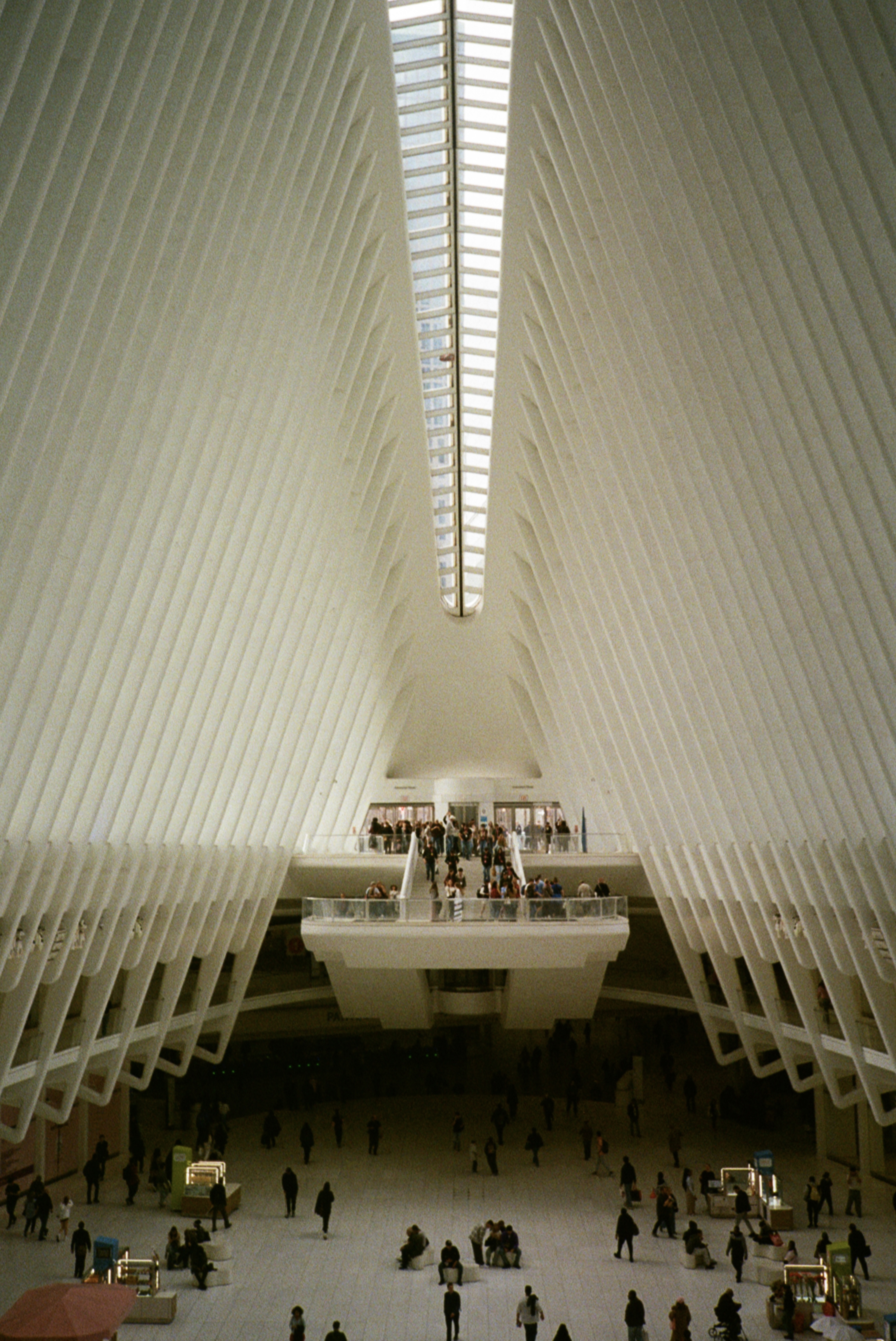 Oculus in New York